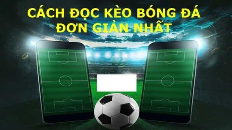 Cách đọc tỷ lệ cá cược bóng đá tây ban nha
