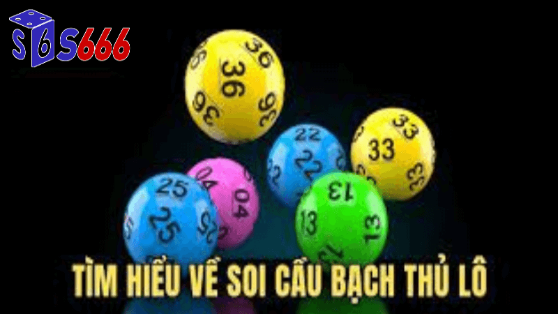 Bạch thủ lô miền bắc tại S666